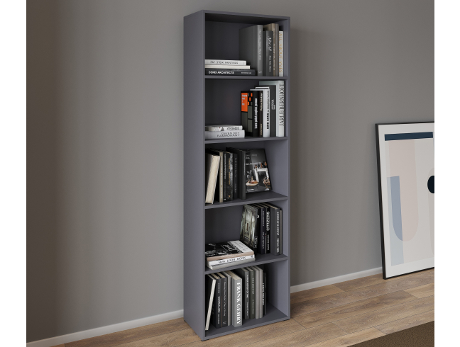 A 5-compartment bookcase and cabinet for home books and decor, 1750x650x290 mm (Graphite)